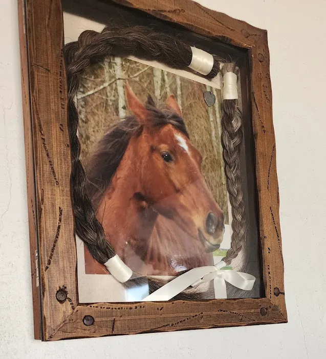 Durango Equine Veterinary Clinic 4
