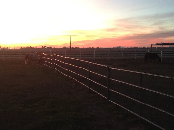 Durango Equine Veterinary Clinic 7
