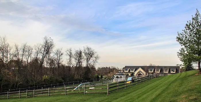 Greenbriar Veterinary Hospital, A Thrive Pet Healthcare Partner 4