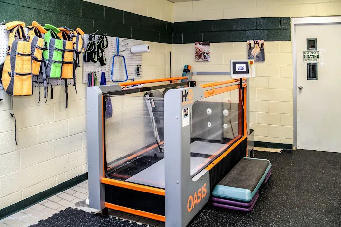 Greenbriar Veterinary Hospital, A Thrive Pet Healthcare Partner 2