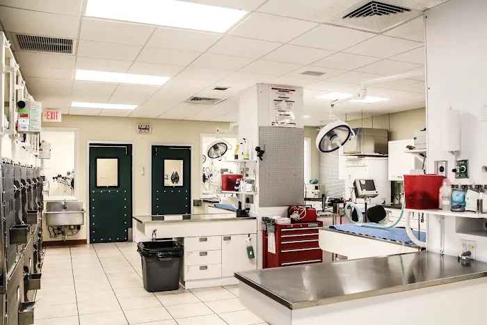 Greenbriar Veterinary Hospital, A Thrive Pet Healthcare Partner 7