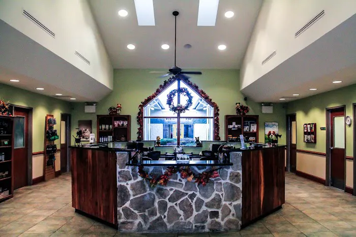 Greenbriar Veterinary Hospital, A Thrive Pet Healthcare Partner 6