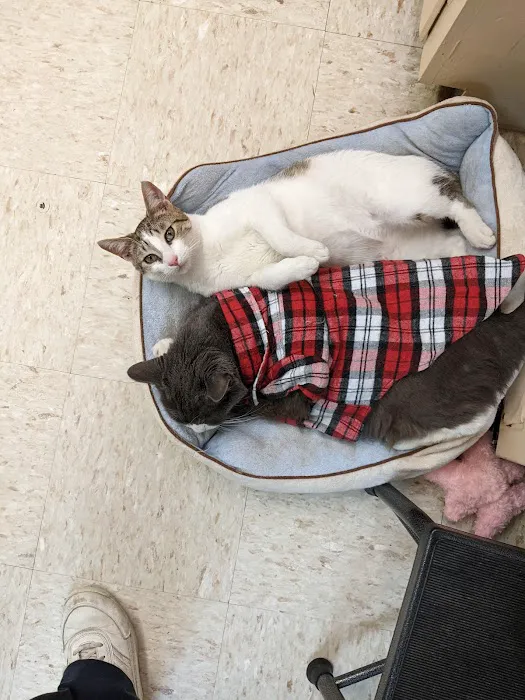 Albertville Animal Hospital 8