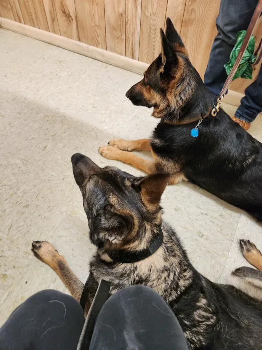 Albertville Animal Hospital 10