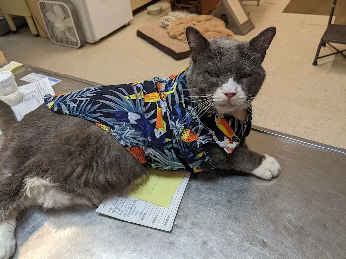 Albertville Animal Hospital 3