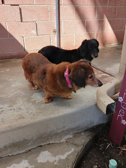 Gregg Animal Hospital Inc 1