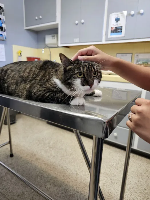 Gregg Animal Hospital Inc 2