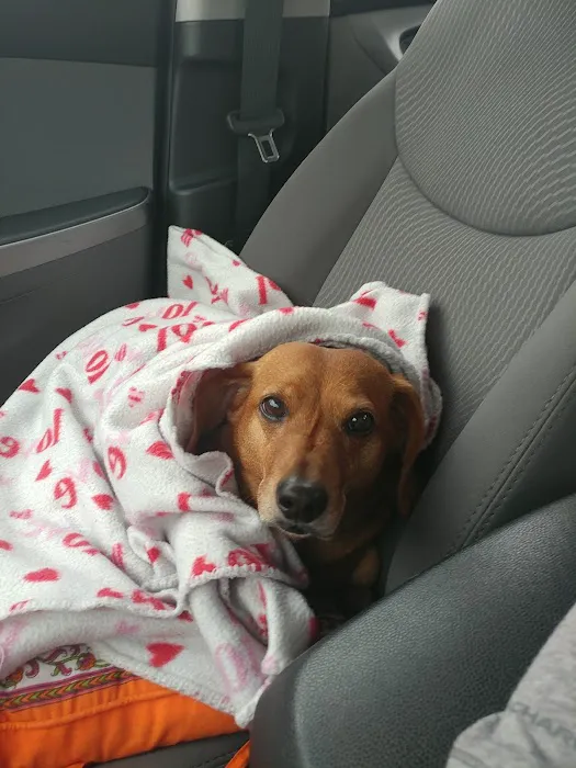 Shiloh Veterinary Hospital - West 1