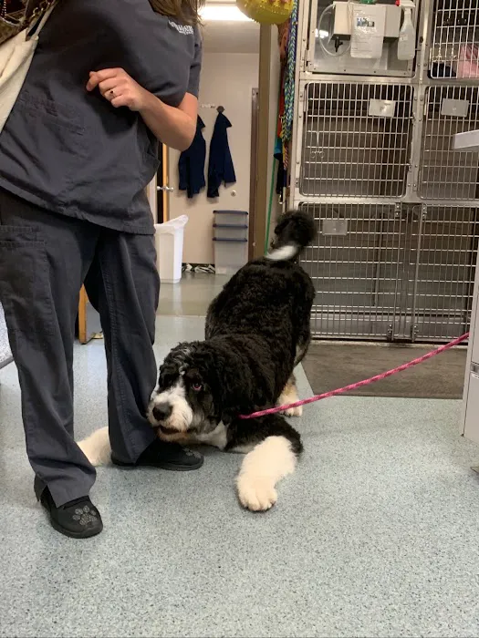 Shiloh Veterinary Hospital - West 8