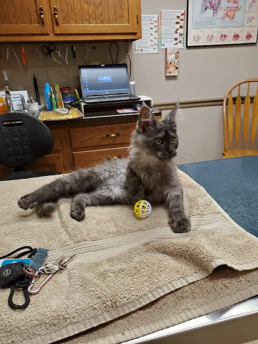 Shiloh Veterinary Hospital - West 3