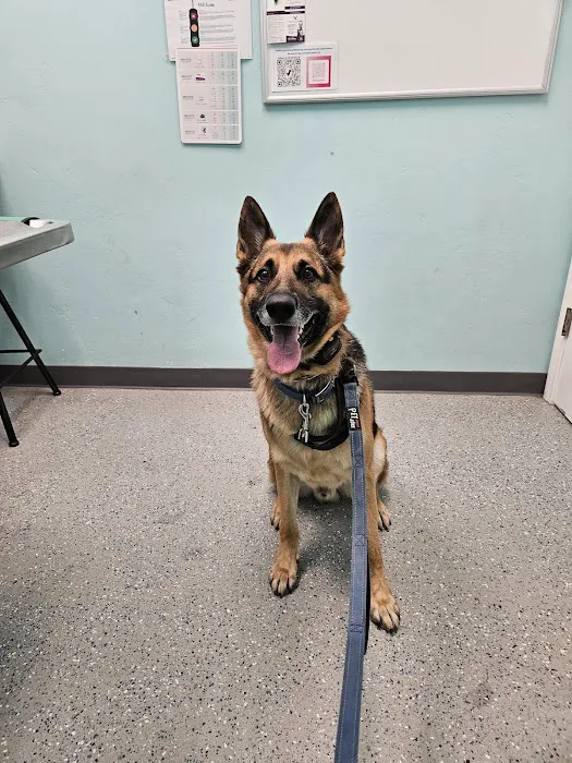 SeaCoast Veterinary Group 2