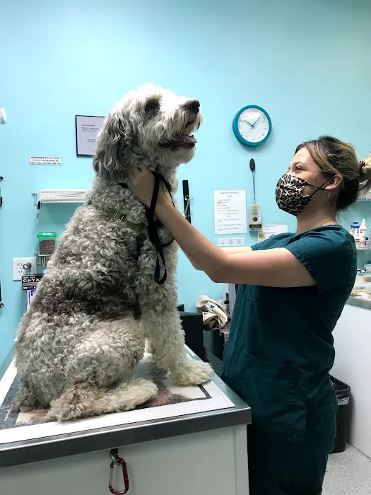SeaCoast Veterinary Group 7