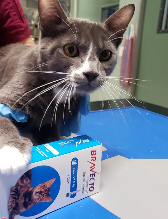 Pomona Valley Veterinary Hospital 7