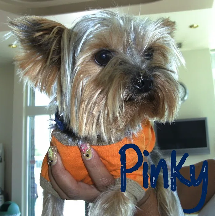 Pomona Valley Veterinary Hospital 2