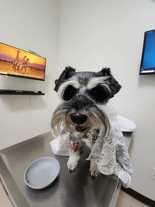 Pets 'N' Vets Animal Hospital 7