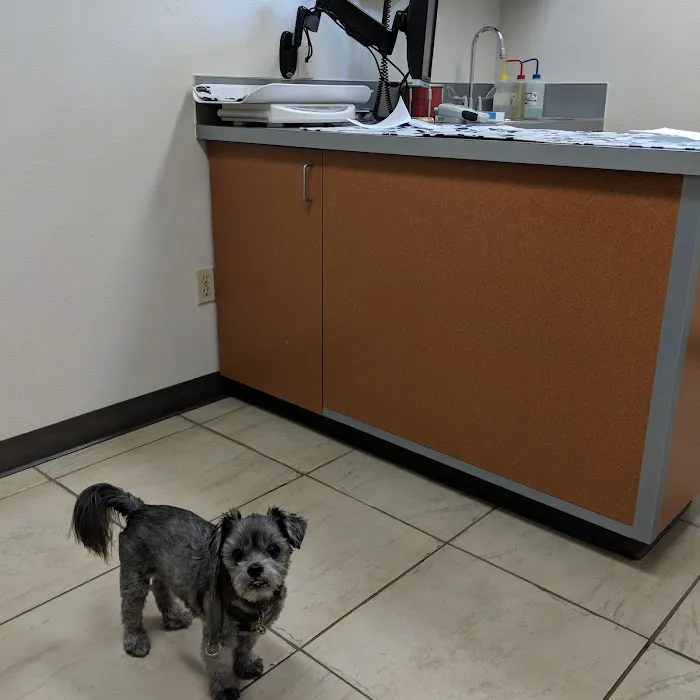 Twin Lakes Veterinary Hospital 2