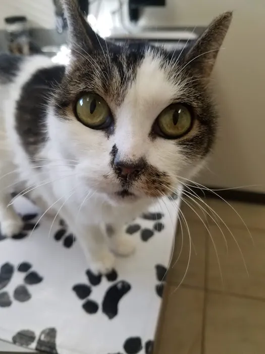 Twin Lakes Veterinary Hospital 8