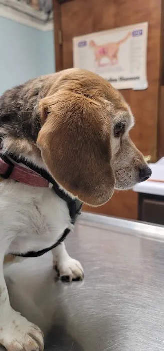 James City Veterinary Clinic 1