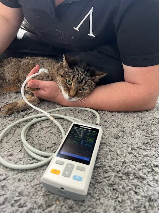 Aristide, Mobile Veterinarian 5