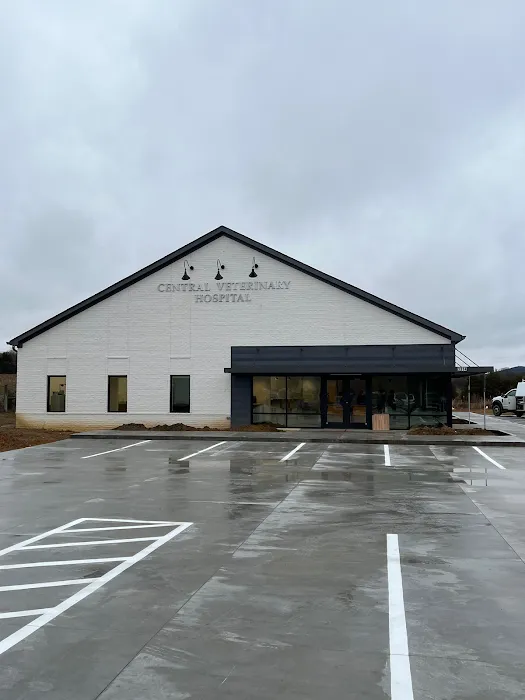 Central Veterinary Hospital 9