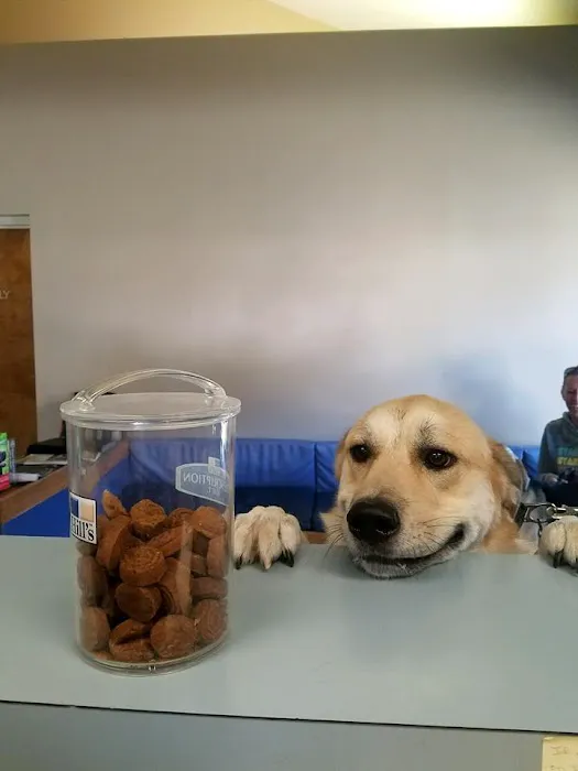 Fountain City Animal Hospital 6