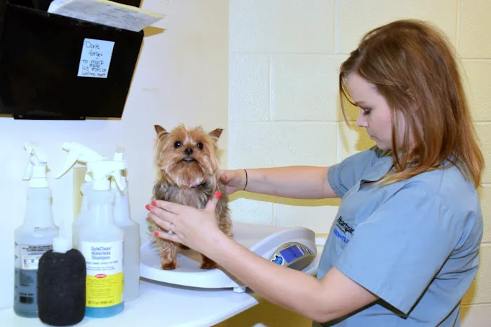 Fountain City Animal Hospital 5