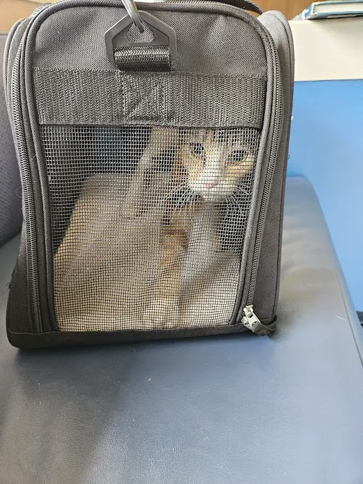 Fountain City Animal Hospital 4