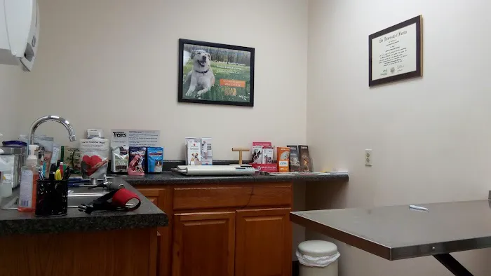 Just For Pets Animal Clinic 2