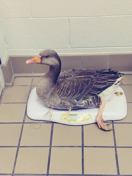 Lange Animal Hospital 4