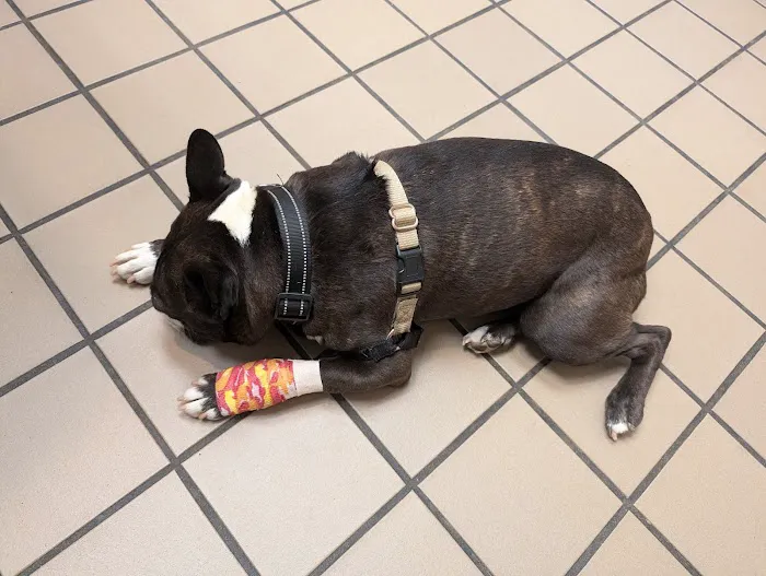 Lange Animal Hospital 3