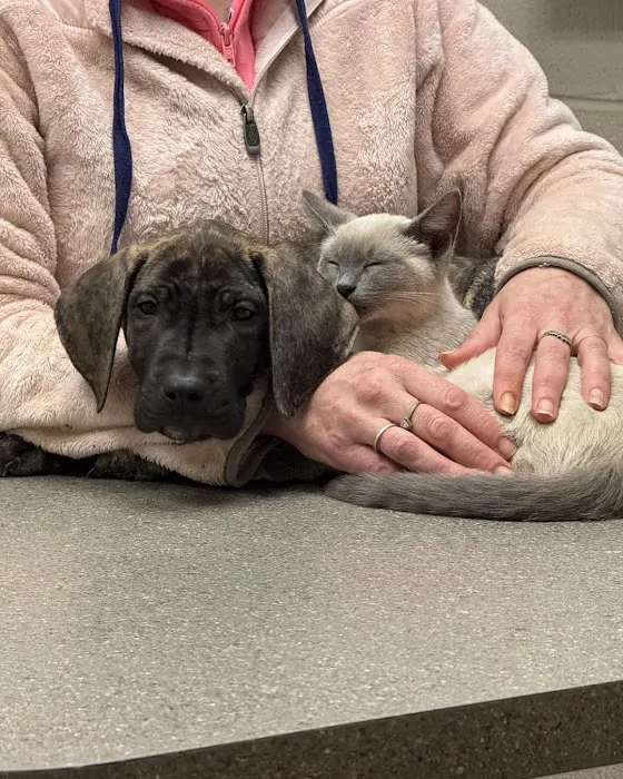 Lange Animal Hospital 1