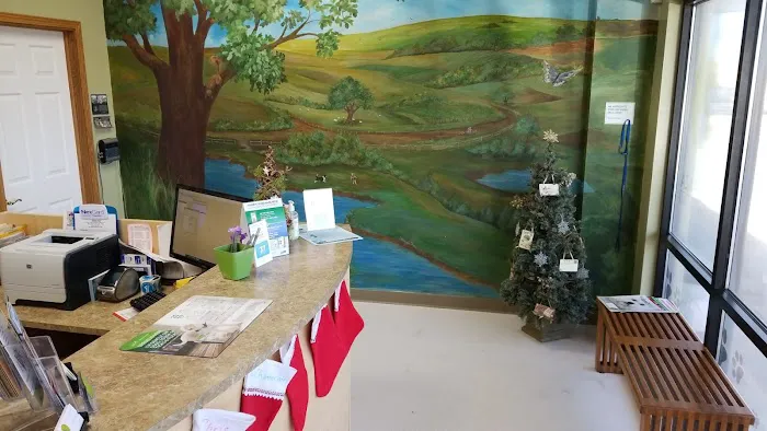 Grimes Plaza Veterinary Clinic 3