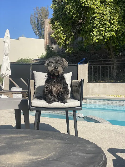 Agoura Animal Clinic 2