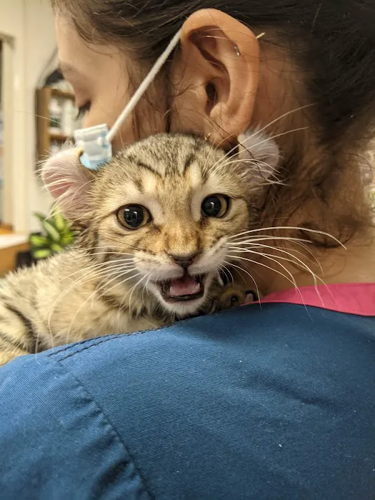 Agoura Animal Clinic 5