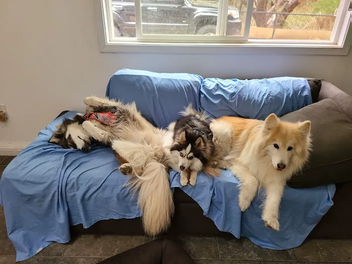 Agoura Animal Clinic 8