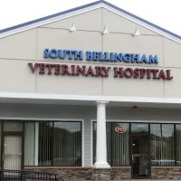 South Bellingham Veterinary Hospital ico