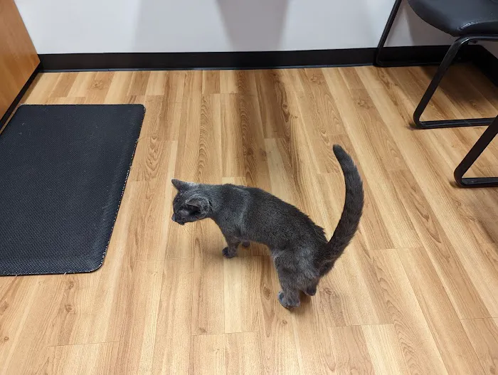 South Bellingham Veterinary Hospital 4