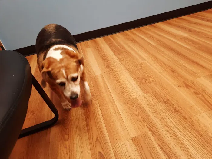 South Bellingham Veterinary Hospital 5