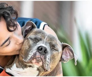 Banfield Pet Hospital