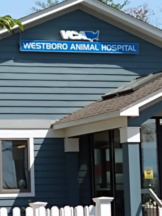 Banfield Pet Hospital 4