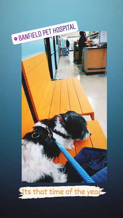 Banfield Pet Hospital 8
