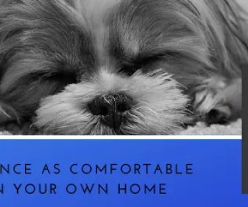 Choice Vets Pet Care