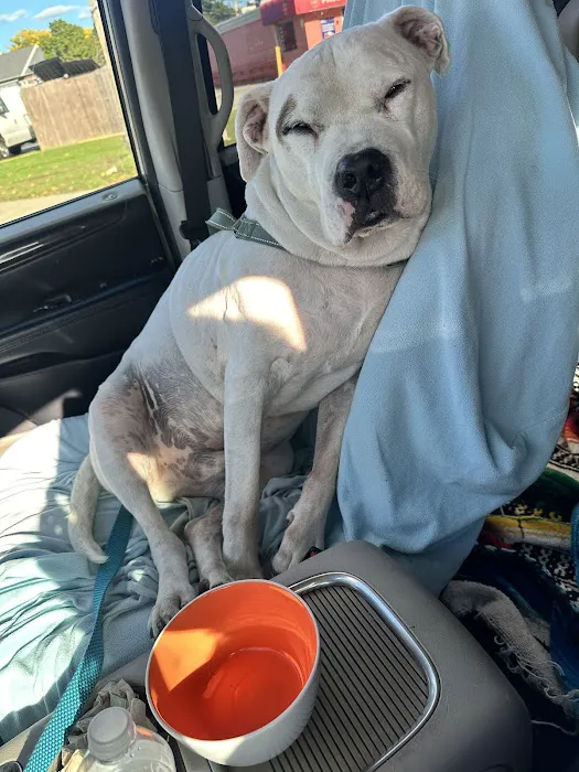 Warren Animal Hospital 8