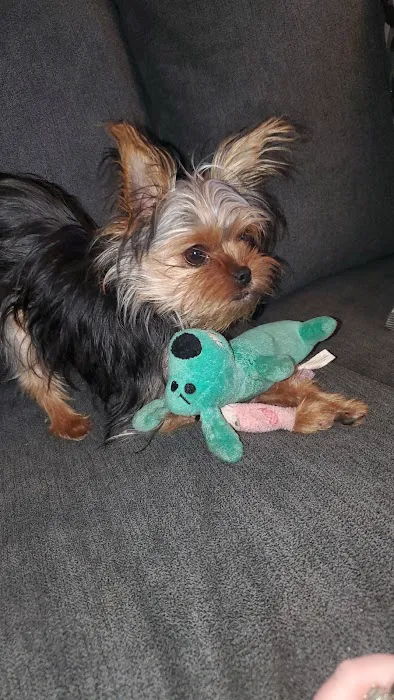 Swansea Veterinary Center 1