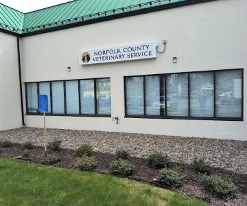 Norfolk County Veterinary Service