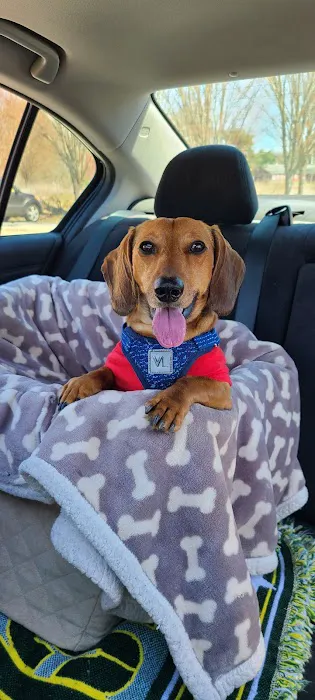 Banfield Pet Hospital 9