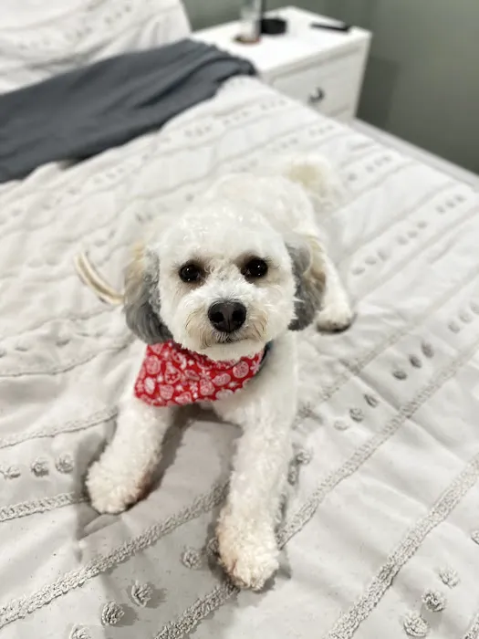 Banfield Pet Hospital 2