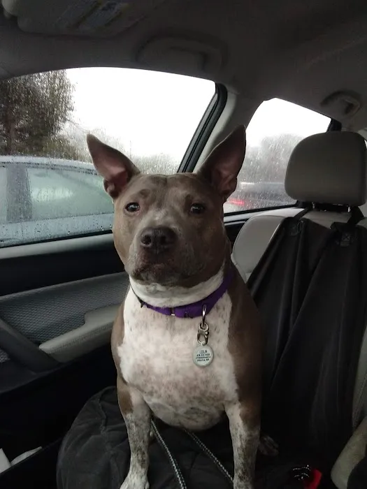 Middlesex County Animal Hospital 9