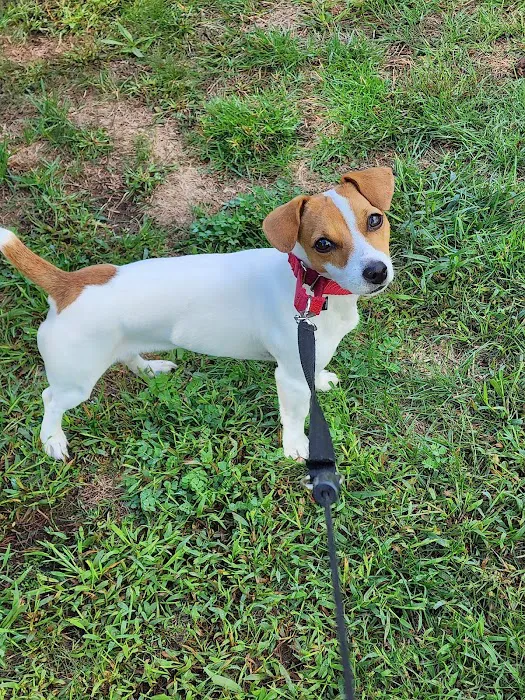 Middlesex County Animal Hospital 5