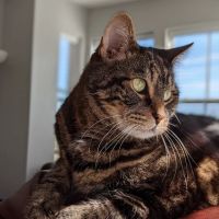 Middlesex County Animal Hospital ico